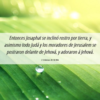 Picture 06 - 2 Crónicas 20:18 RVA - Entonces Josaphat se inclinó rostro por tierra, - Bible Verse Picture