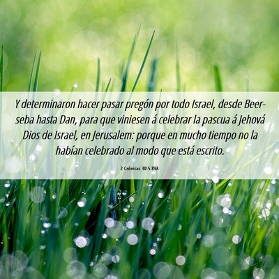Picture 06 - 2 Crónicas 30:5 RVA - Y determinaron hacer pasar pregón por todo - Bible Verse Picture