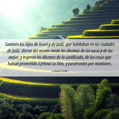 Picture 06 - 2 Crónicas 31:6 RVA - También los hijos de Israel y de Judá, que - Bible Verse Picture