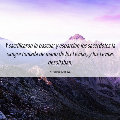 Picture 06 - 2 Crónicas 35:11 RVA - Y sacrificaron la pascua; y esparcían los - Bible Verse Picture
