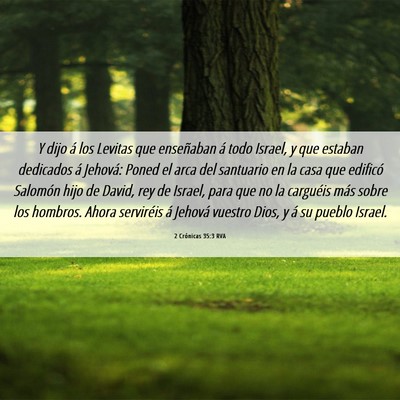 Picture 06 - 2 Crónicas 35:3 RVA - Y dijo á los Levitas que enseñaban á todo - Bible Verse Picture