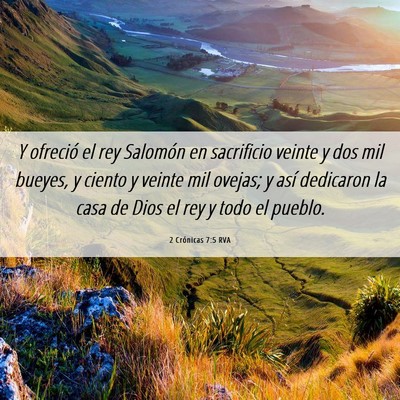 Picture 06 - 2 Crónicas 7:5 RVA - Y ofreció el rey Salomón en sacrificio veinte y - Bible Verse Picture