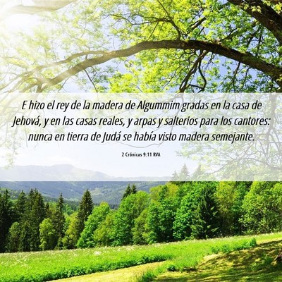 Picture 06 - 2 Crónicas 9:11 RVA - E hizo el rey de la madera de Algummim gradas en - Bible Verse Picture