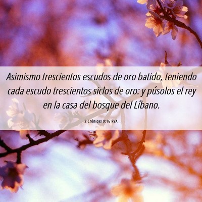 Picture 06 - 2 Crónicas 9:16 RVA - Asimismo trescientos escudos de oro batido, - Bible Verse Picture