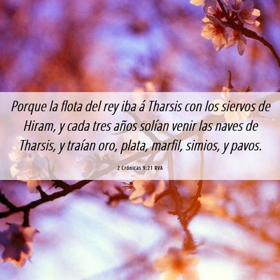Picture 06 - 2 Crónicas 9:21 RVA - Porque la flota del rey iba á Tharsis con los - Bible Verse Picture