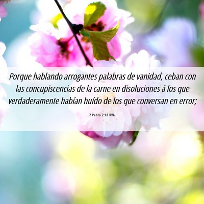 Picture 06 - 2 Pedro 2:18 RVA - Porque hablando arrogantes palabras de vanidad, - Bible Verse Picture