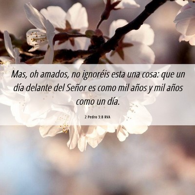 Picture 06 - 2 Pedro 3:8 RVA - Mas, oh amados, no ignoréis esta una cosa: que - Bible Verse Picture