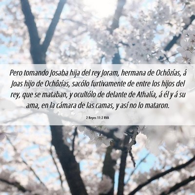 Picture 06 - 2 Reyes 11:2 RVA - Pero tomando Josaba hija del rey Joram, hermana - Bible Verse Picture