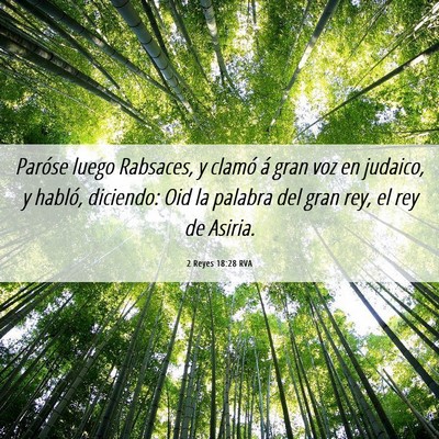 Picture 06 - 2 Reyes 18:28 RVA - Paróse luego Rabsaces, y clamó á gran voz en - Bible Verse Picture