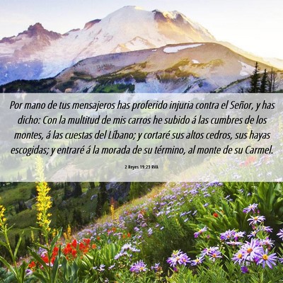 Picture 06 - 2 Reyes 19:23 RVA - Por mano de tus mensajeros has proferido injuria - Bible Verse Picture