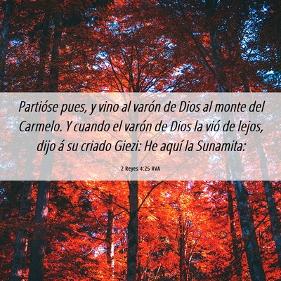 Picture 06 - 2 Reyes 4:25 RVA - Partióse pues, y vino al varón de Dios al monte - Bible Verse Picture