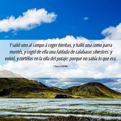 Picture 06 - 2 Reyes 4:39 RVA - Y salió uno al campo á coger hierbas, y halló - Bible Verse Picture