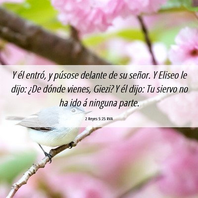 Picture 06 - 2 Reyes 5:25 RVA - Y él entró, y púsose delante de su señor. Y - Bible Verse Picture