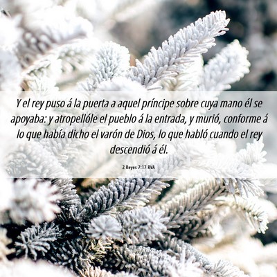 Picture 06 - 2 Reyes 7:17 RVA - Y el rey puso á la puerta a aquel príncipe - Bible Verse Picture