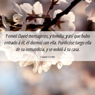 Picture 06 - 2 Samuel 11:4 RVA - Y envió David mensajeros, y tomóla: y así que - Bible Verse Picture