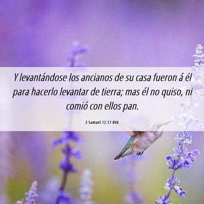Picture 06 - 2 Samuel 12:17 RVA - Y levantándose los ancianos de su casa fueron á - Bible Verse Picture