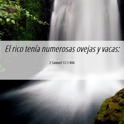 Picture 06 - 2 Samuel 12:2 RVA - El rico tenía numerosas ovejas y - Bible Verse Picture