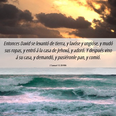 Picture 06 - 2 Samuel 12:20 RVA - Entonces David se levantó de tierra, y lavóse y - Bible Verse Picture