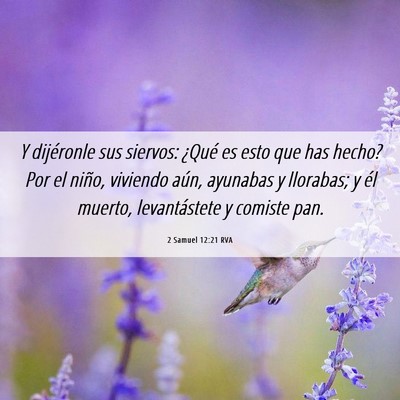 Picture 06 - 2 Samuel 12:21 RVA - Y dijéronle sus siervos: ¿Qué es esto que has - Bible Verse Picture