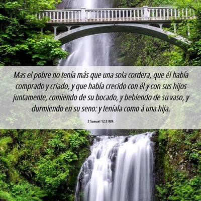 Picture 06 - 2 Samuel 12:3 RVA - Mas el pobre no tenía más que una sola cordera, - Bible Verse Picture