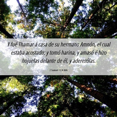 Picture 06 - 2 Samuel 13:8 RVA - Y fué Thamar á casa de su hermano Amnón, el - Bible Verse Picture