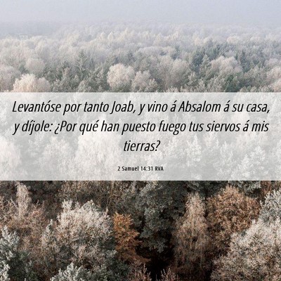Picture 06 - 2 Samuel 14:31 RVA - Levantóse por tanto Joab, y vino á Absalom á - Bible Verse Picture