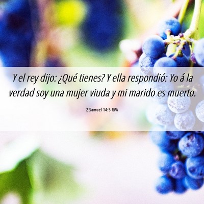 Picture 06 - 2 Samuel 14:5 RVA - Y el rey dijo: ¿Qué tienes? Y ella respondió: - Bible Verse Picture
