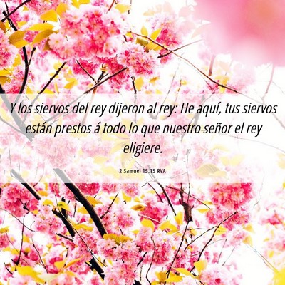 Picture 06 - 2 Samuel 15:15 RVA - Y los siervos del rey dijeron al rey: He aquí, - Bible Verse Picture