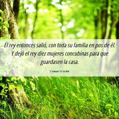 Picture 06 - 2 Samuel 15:16 RVA - El rey entonces salió, con toda su familia en - Bible Verse Picture