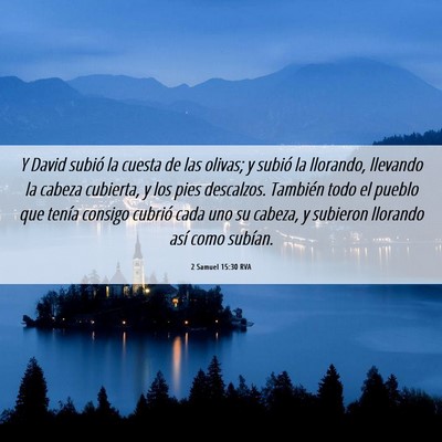 Picture 06 - 2 Samuel 15:30 RVA - Y David subió la cuesta de las olivas; y subió - Bible Verse Picture