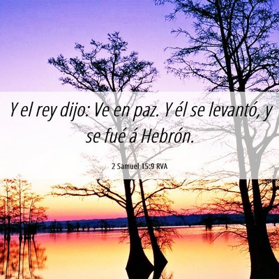 Picture 06 - 2 Samuel 15:9 RVA - Y el rey dijo: Ve en paz. Y él se levantó, y se - Bible Verse Picture