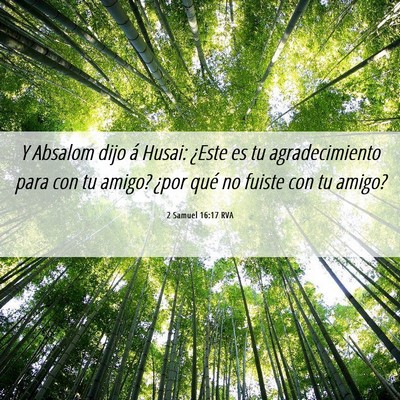 Picture 06 - 2 Samuel 16:17 RVA - Y Absalom dijo á Husai: ¿Este es tu - Bible Verse Picture