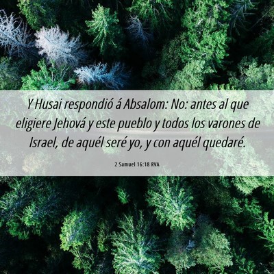Picture 06 - 2 Samuel 16:18 RVA - Y Husai respondió á Absalom: No: antes al que - Bible Verse Picture