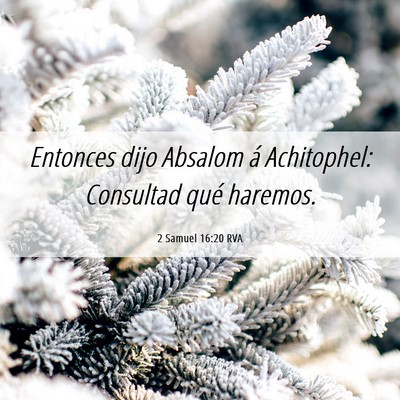 Picture 06 - 2 Samuel 16:20 RVA - Entonces dijo Absalom á Achitophel: Consultad - Bible Verse Picture