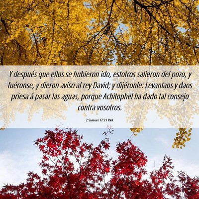 Picture 06 - 2 Samuel 17:21 RVA - Y después que ellos se hubieron ido, estotros - Bible Verse Picture