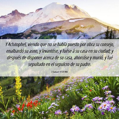Picture 06 - 2 Samuel 17:23 RVA - Y Achitophel, viendo que no se había puesto por - Bible Verse Picture