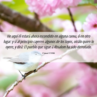 Picture 06 - 2 Samuel 17:9 RVA - He aquí él estará ahora escondido en alguna - Bible Verse Picture