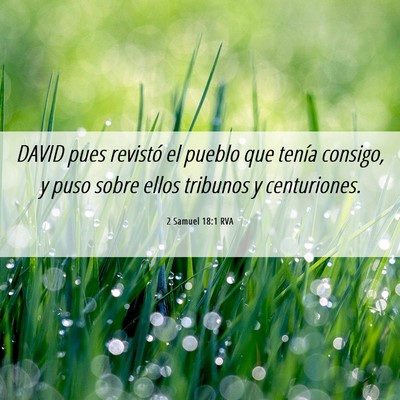 Picture 06 - 2 Samuel 18:1 RVA - DAVID pues revistó el pueblo que tenía consigo, - Bible Verse Picture