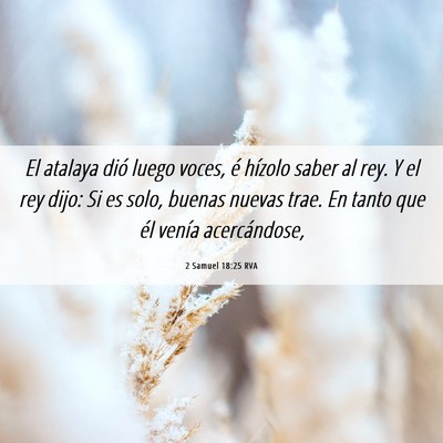 Picture 06 - 2 Samuel 18:25 RVA - El atalaya dió luego voces, é hízolo saber al - Bible Verse Picture