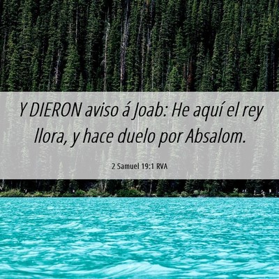 Picture 06 - 2 Samuel 19:1 RVA - Y DIERON aviso á Joab: He aquí el rey llora, y - Bible Verse Picture