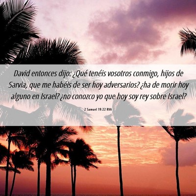 Picture 06 - 2 Samuel 19:22 RVA - David entonces dijo: ¿Qué tenéis vosotros - Bible Verse Picture