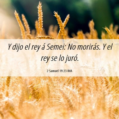 Picture 06 - 2 Samuel 19:23 RVA - Y dijo el rey á Semei: No morirás. Y el rey se - Bible Verse Picture