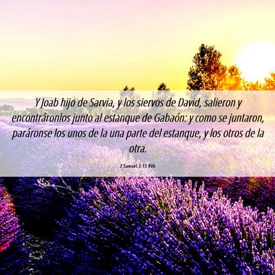 Picture 06 - 2 Samuel 2:13 RVA - Y Joab hijo de Sarvia, y los siervos de David, - Bible Verse Picture