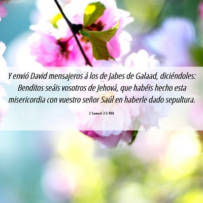Picture 06 - 2 Samuel 2:5 RVA - Y envió David mensajeros á los de Jabes de - Bible Verse Picture