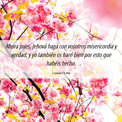 Picture 06 - 2 Samuel 2:6 RVA - Ahora pues, Jehová haga con vosotros - Bible Verse Picture