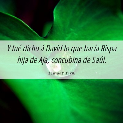 Picture 06 - 2 Samuel 21:11 RVA - Y fué dicho á David lo que hacía Rispa hija de - Bible Verse Picture