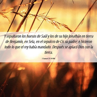 Picture 06 - 2 Samuel 21:14 RVA - Y sepultaron los huesos de Saúl y los de su hijo - Bible Verse Picture