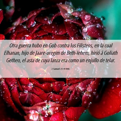 Picture 06 - 2 Samuel 21:19 RVA - Otra guerra hubo en Gob contra los Filisteos, en - Bible Verse Picture