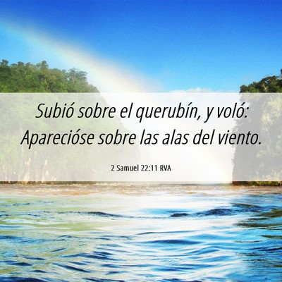 Picture 06 - 2 Samuel 22:11 RVA - Subió sobre el querubín, y voló: Aparecióse - Bible Verse Picture