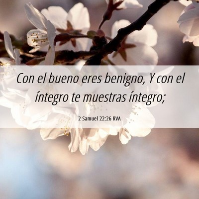 Picture 06 - 2 Samuel 22:26 RVA - Con el bueno eres benigno, Y con el íntegro te - Bible Verse Picture